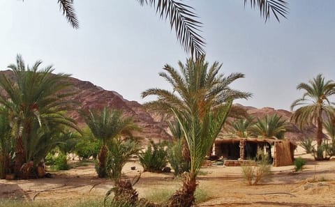 Private Jeep Safari in White Canyon and Ain Hudra, Sharm El Sheikh