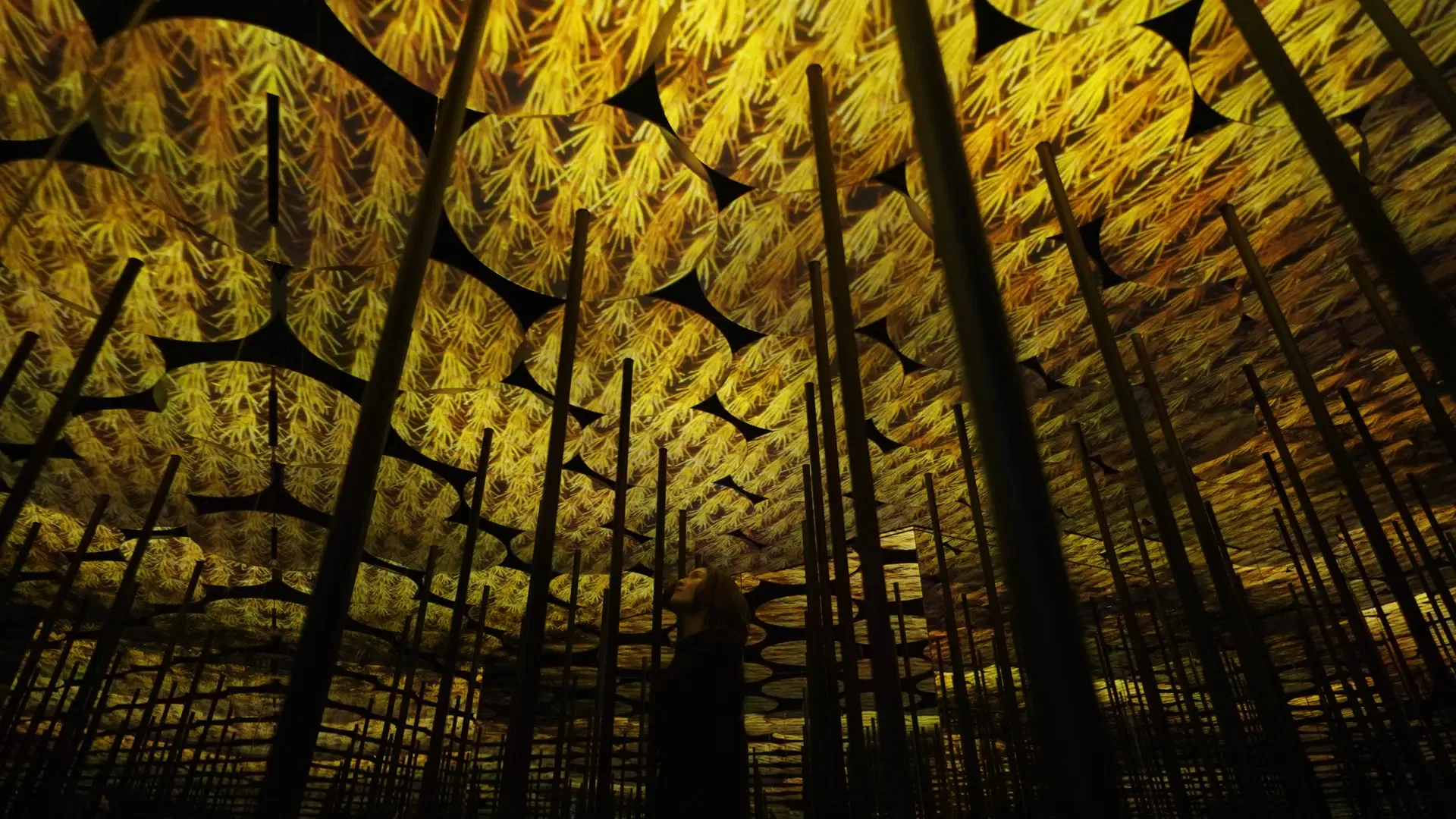 teamlab Borderless Tokyo