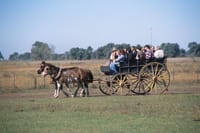 Full day Fiesta Gaucha (from BUENOS AIRES) 2