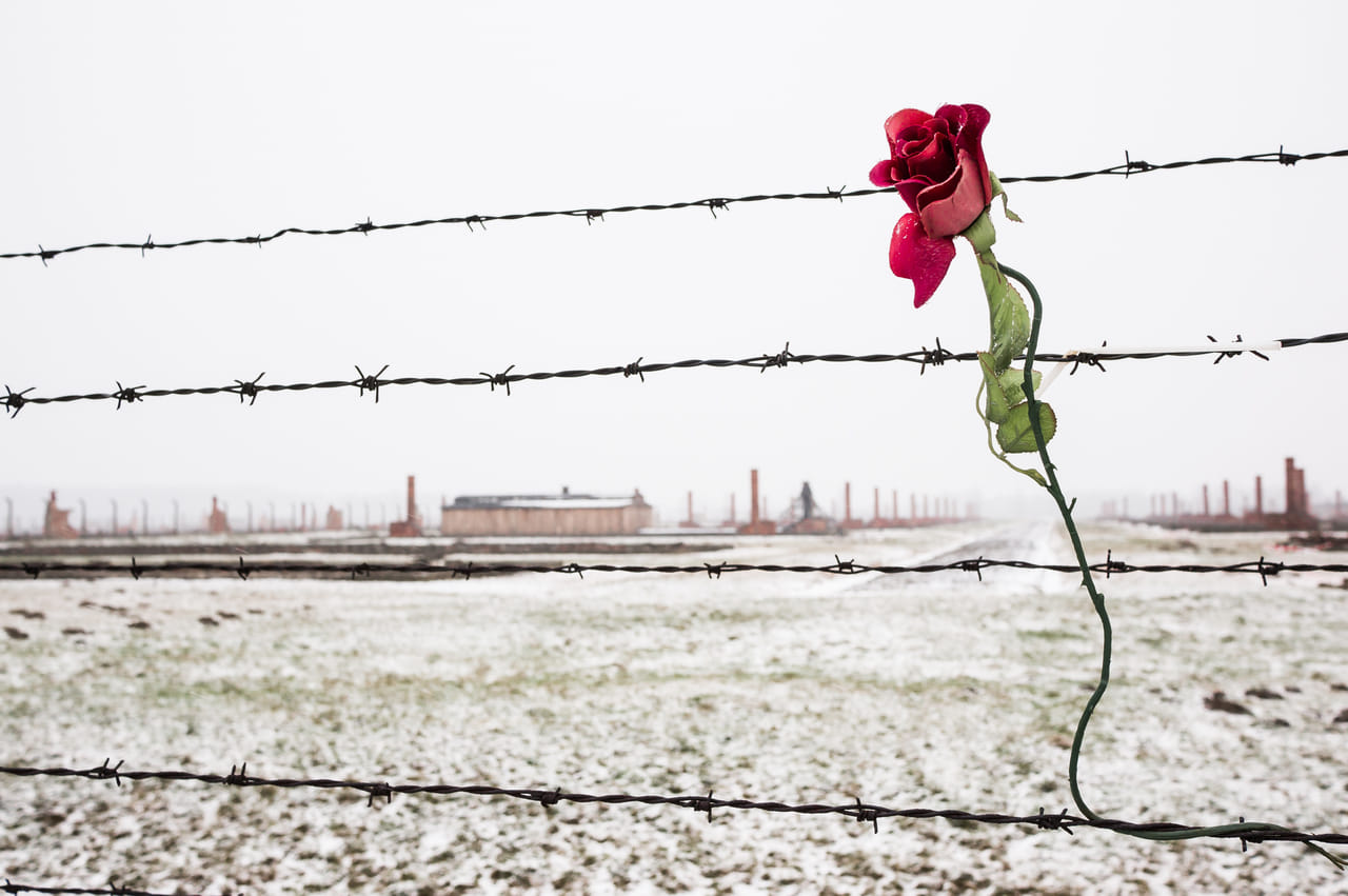 Auschwitz-Birkenau Memorial and Wieliczka Salt Mine 1 Day Guided Tour 5