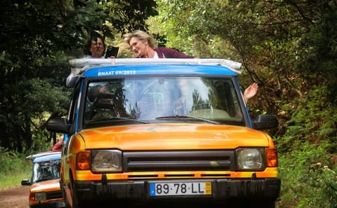 Wine Tasting and 4x4 Jeep Adventure in Camara De Lobos