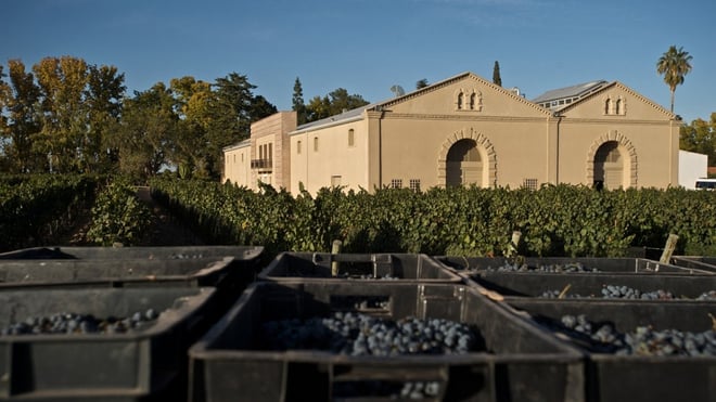 Wine + Olive + Lunch - Photo 2