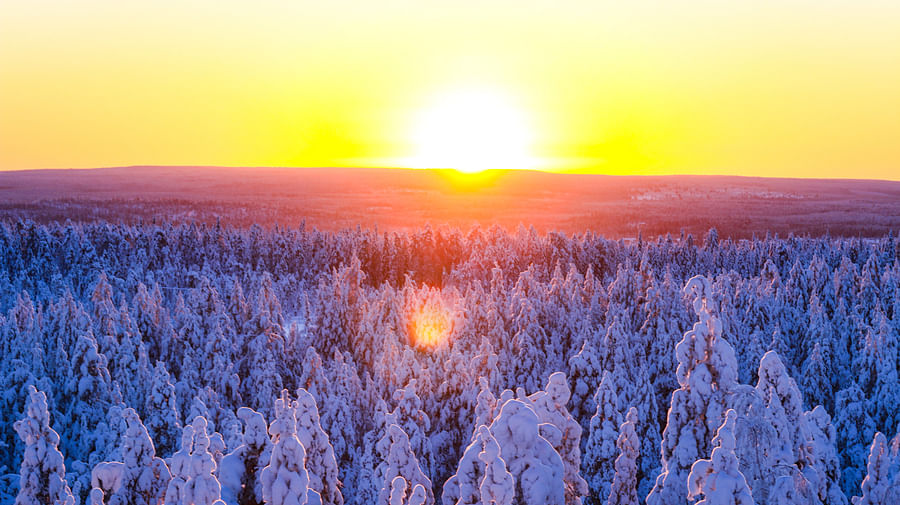 Stunning views of the snowy Taiga forest