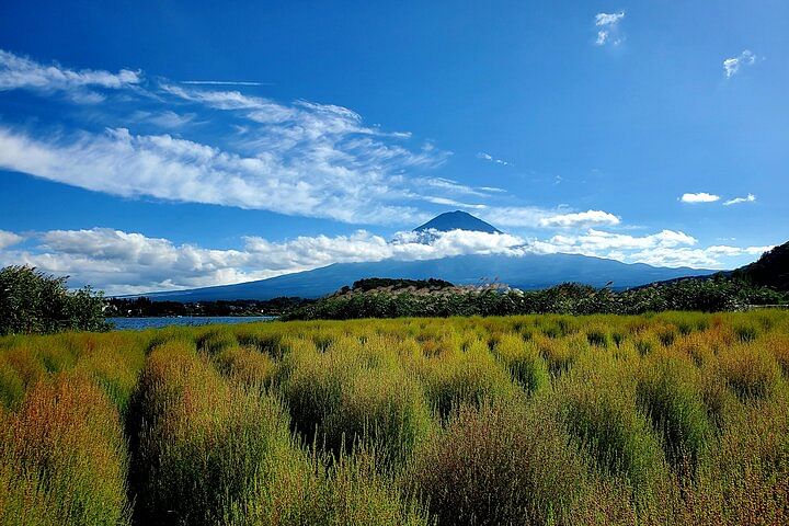 2 Days Tour Mount Fuji and Hakone