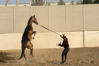 Golden Sands and Fiery Nights 3 Days Across Turkmenistan