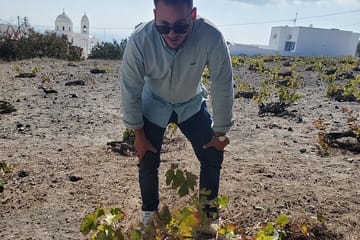 Private Day Trip to Santorini with Akrotiri Tour from Athens
