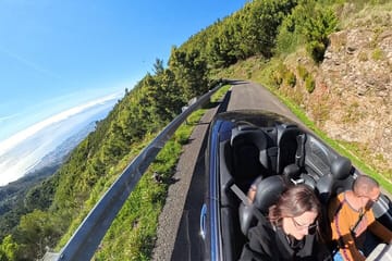 Scenic Cabriolet Tour of Madeira: Camara De Lobos & More
