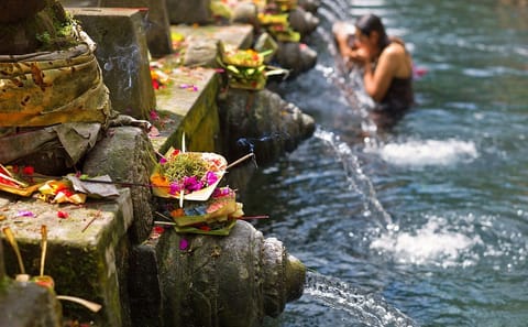 Spiritual Journey Through Ubud's Sacred Sites in Bali