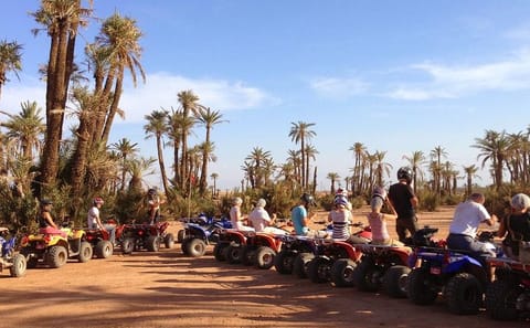 Quad Biking Adventure in Marrakech's Scenic Landscapes