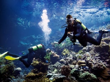 Hurghada Professional Diving Trip – Certified Divers Only