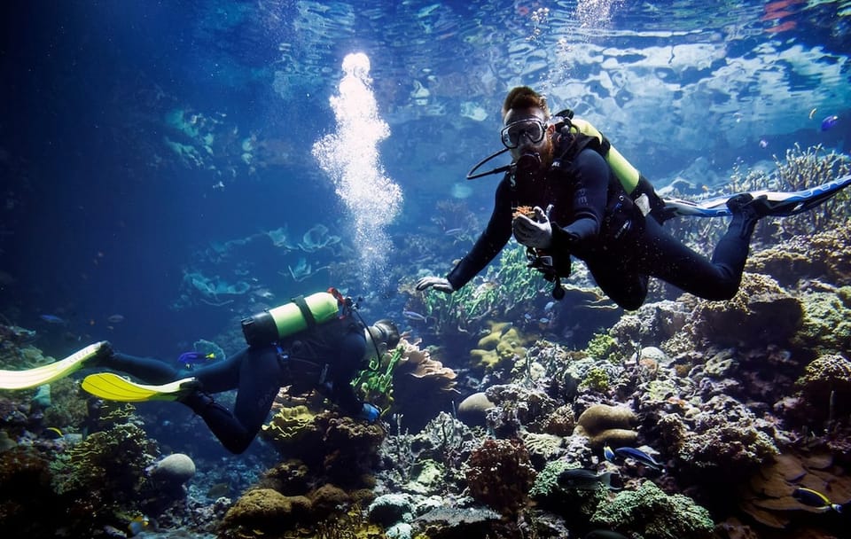 Diving Adventure in Hurghada: Explore the Red Sea Reefs