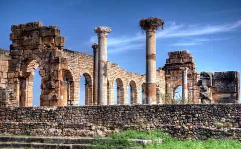 Day Trip from Fez to Meknes, Volubilis, and Moulay Idriss