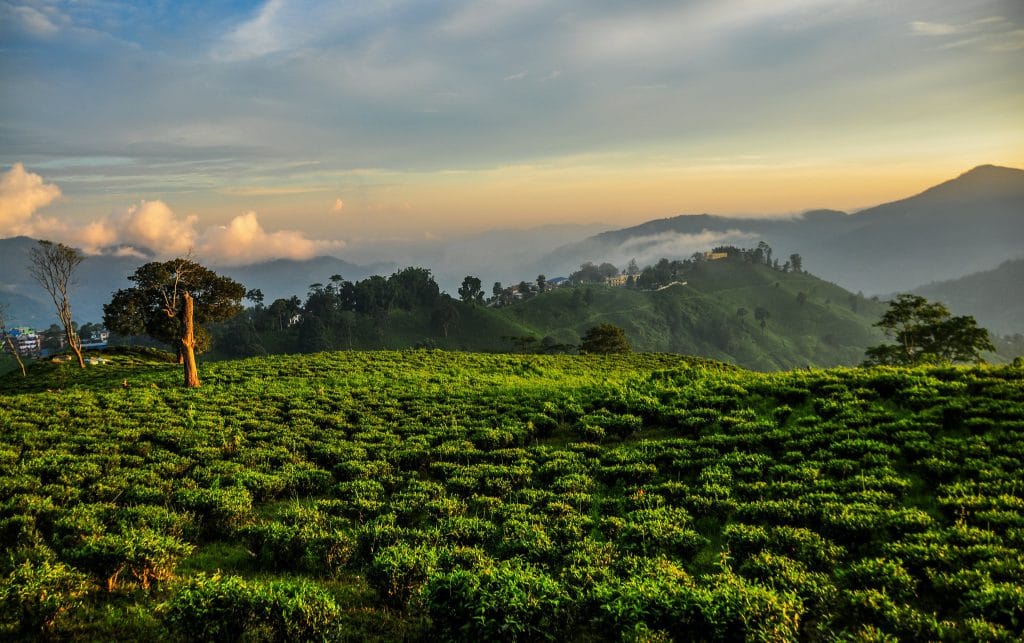 19 Days Mera Peak Climbing & Expedition – One Life-Changing Himalayan Adventure