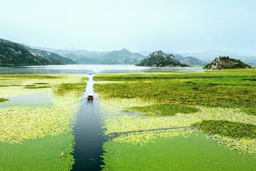Skadar Lake National Park: Guided Boat Tour with Wooden Boat