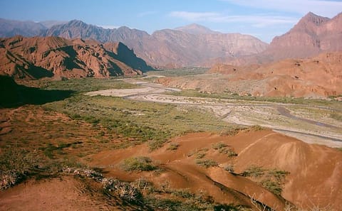 Half-Day Premium Wine Tour in Cafayate, Argentina
