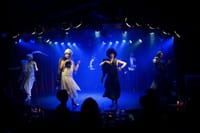 Rojo Tango Show: Skip the Line Ticket including Private Transfer 2