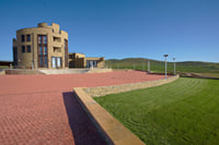 Private Buggy Vineyards Tour 10