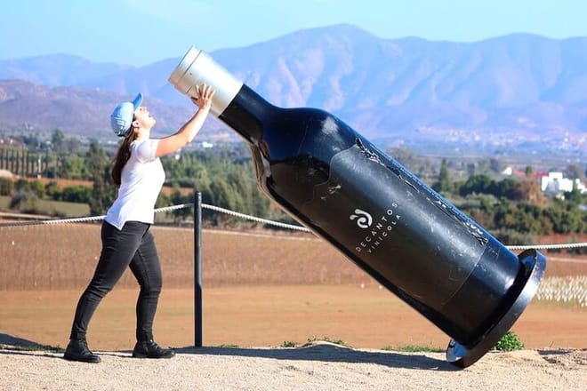 Valle de Guadalupe Wine Experience: All Wine Tastings Included - Photo 3