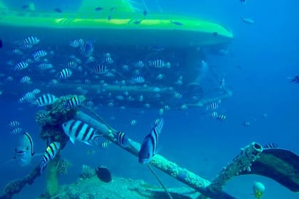 Hurghada: Submarine Trip – Explore the Depths of the Red Sea (3-Hour Adventure)