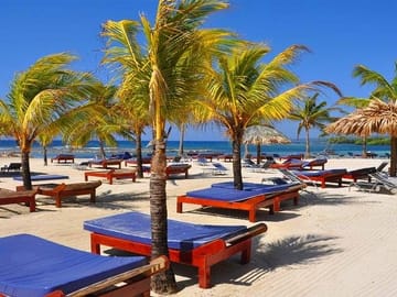 Roatan Sun & Fun, Sloths & Monkeys, Beach & Private Transfer