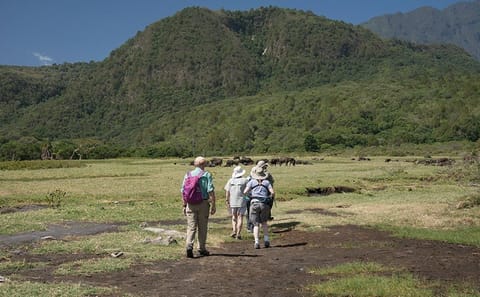 10-Day Camping Safari Northern Circuit
