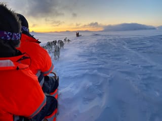 Dog Sledding Near Reykjavik , photo 24