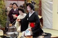 Exclusive Tokyo Geisha Experience in Historic Ryotei in Shinbashi 4