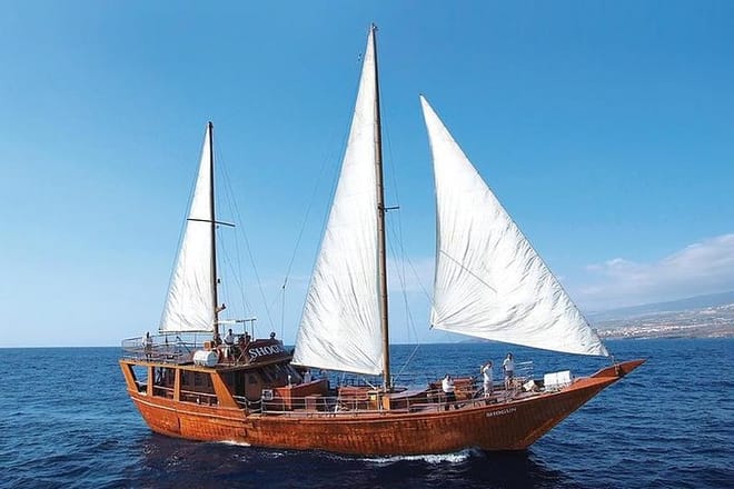 Whale & Dolphin Watching Experience + Los Gigantes And Masca 3