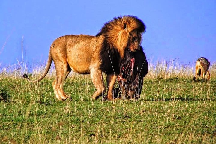 3days Samburu Game Reserve safari