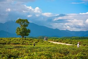 Private Guided Tour: A Spring Day in Dong Giang from Da Nang
