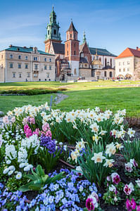  Krakow: Wawel Castle, Cathedral and Wieliczka Salt Mine Guided Tour with Lunch