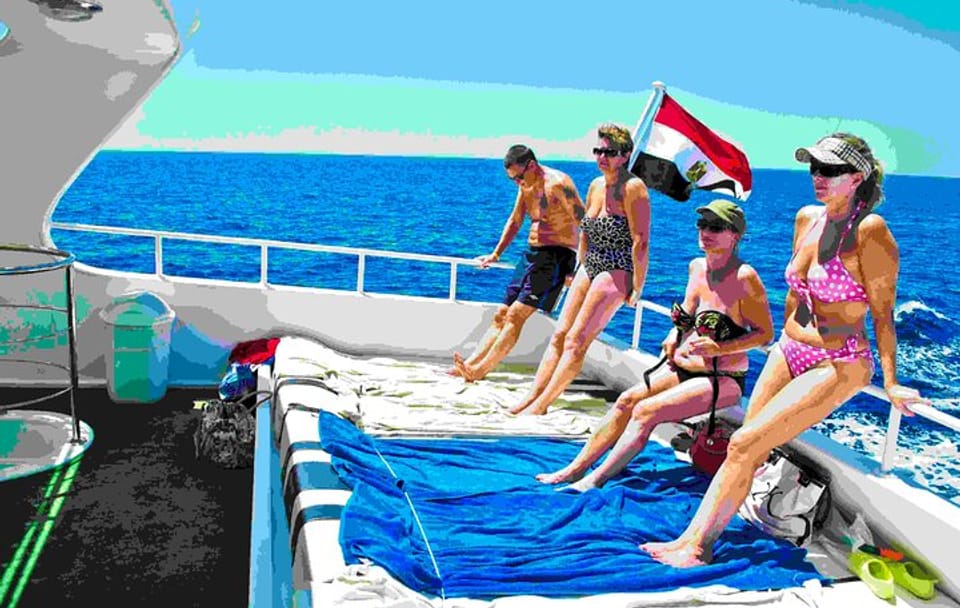 Swim with Wild Dolphins in the Red Sea from Hurghada
