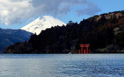 English Guided 2 Days Mt. Fuji and Hakone Private Tour