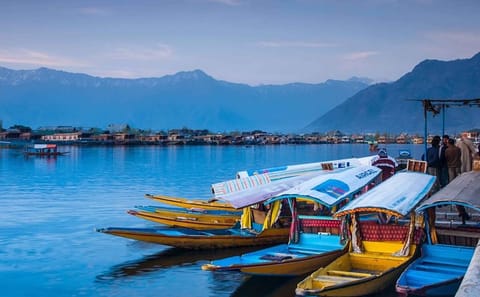 5-Day Kashmir Tour with Private Transport and Accommodation