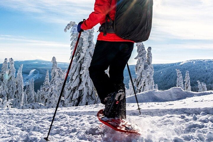 Snowshoeing through the winter forest in Rovaniemi with StayLapland.