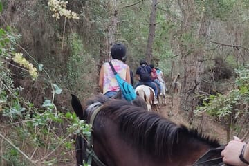 Horse Riding Tour at Taurus Mountains with Roundtrip Transfer