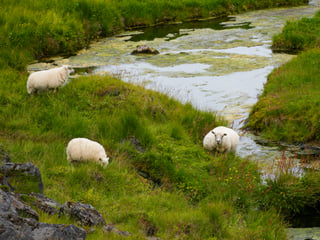 The Hidden Highlands, photo 9