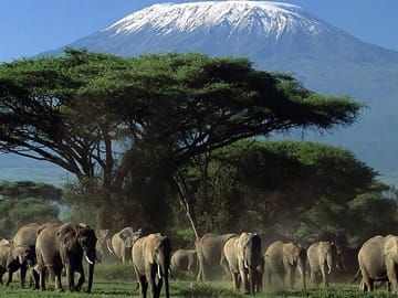 Amboseli National park