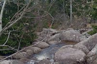 Private Day Trip to Vitosha Mountain- Heritage and Hiking 4