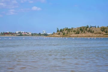 Larnaca and Nicosia Cultural Day Tour from Paphos