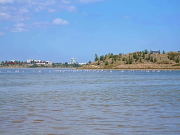 Salt Lake