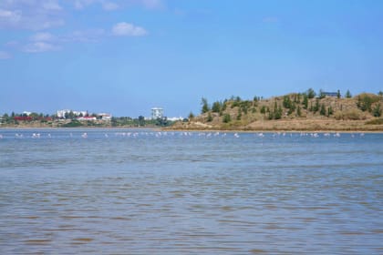 Paphos: Larnaca & Divided Nicosia Sightseeing Tour