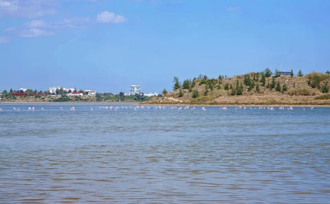 Larnaca and Nicosia Cultural Day Tour from Paphos