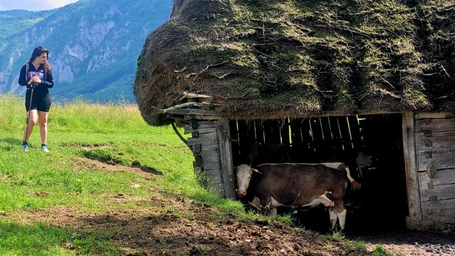 Discover Apuseni Mountains. Scarita Summit, Sipote Waterfall and  Dumesti Village  photo 2