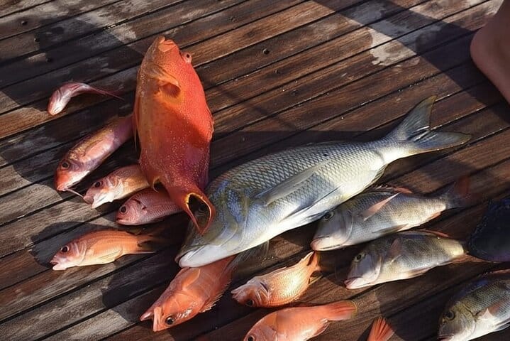 Private Boat , Fishing & Snorkeling Full Day & Lunch – Hurghada