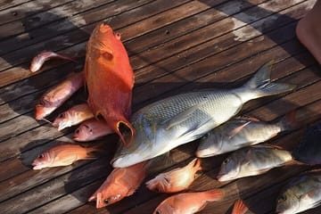 Private Boat , Fishing & Snorkeling Full Day & Lunch – Hurghada