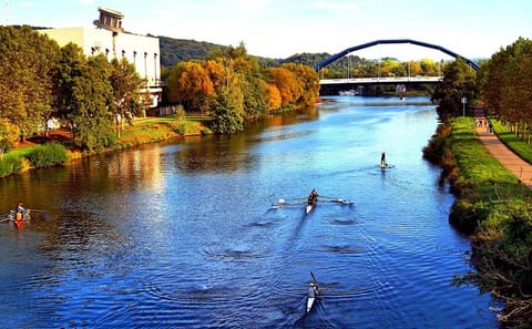 Guided City Walk in Saarbrücken: Explore History and Culture