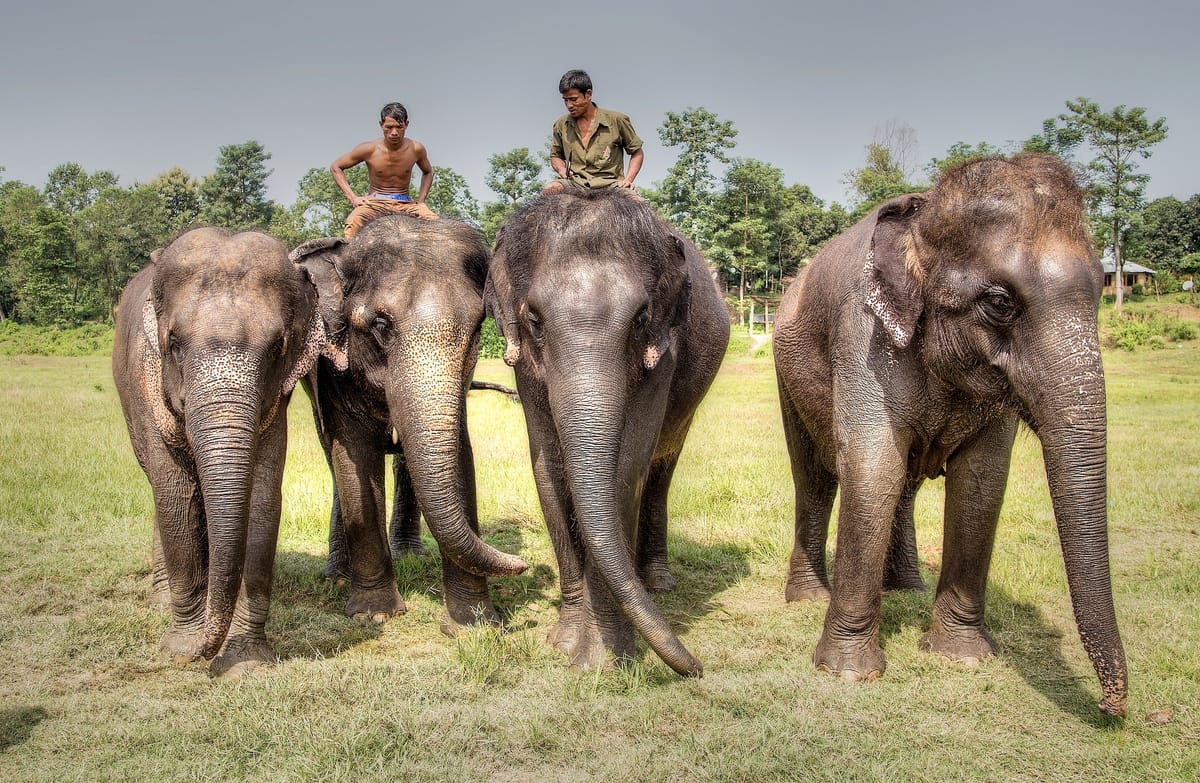 19 Days Mera Peak Climbing & Expedition – One Life-Changing Himalayan Adventure