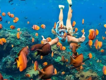 Snorkeling Adventure in Ras Mohammed National Park, Sharm El Sheikh