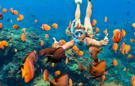 Snorkeling Adventure in Ras Mohammed National Park, Sharm El Sheikh